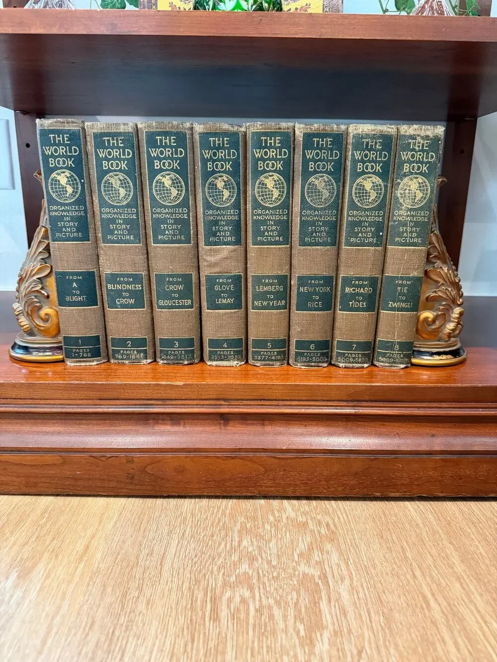 World Book 1918 Complete 8 Vol Set 1st Edition Antique Encyclopedia Illustrated